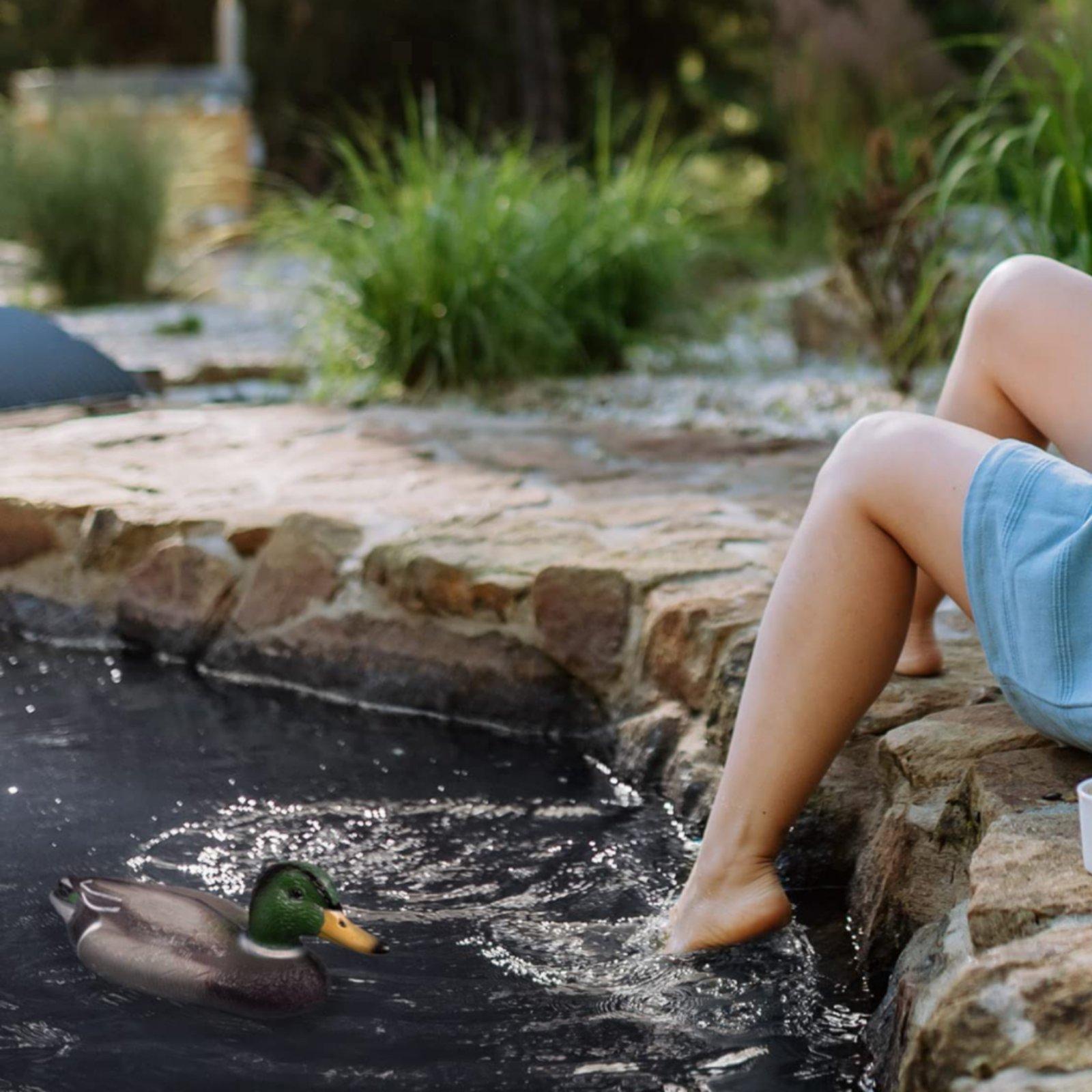 Floating Duck Decoy Realistic  - Hunting & Outdoor Supplies Vanderbijlpark Photos 评论和价格