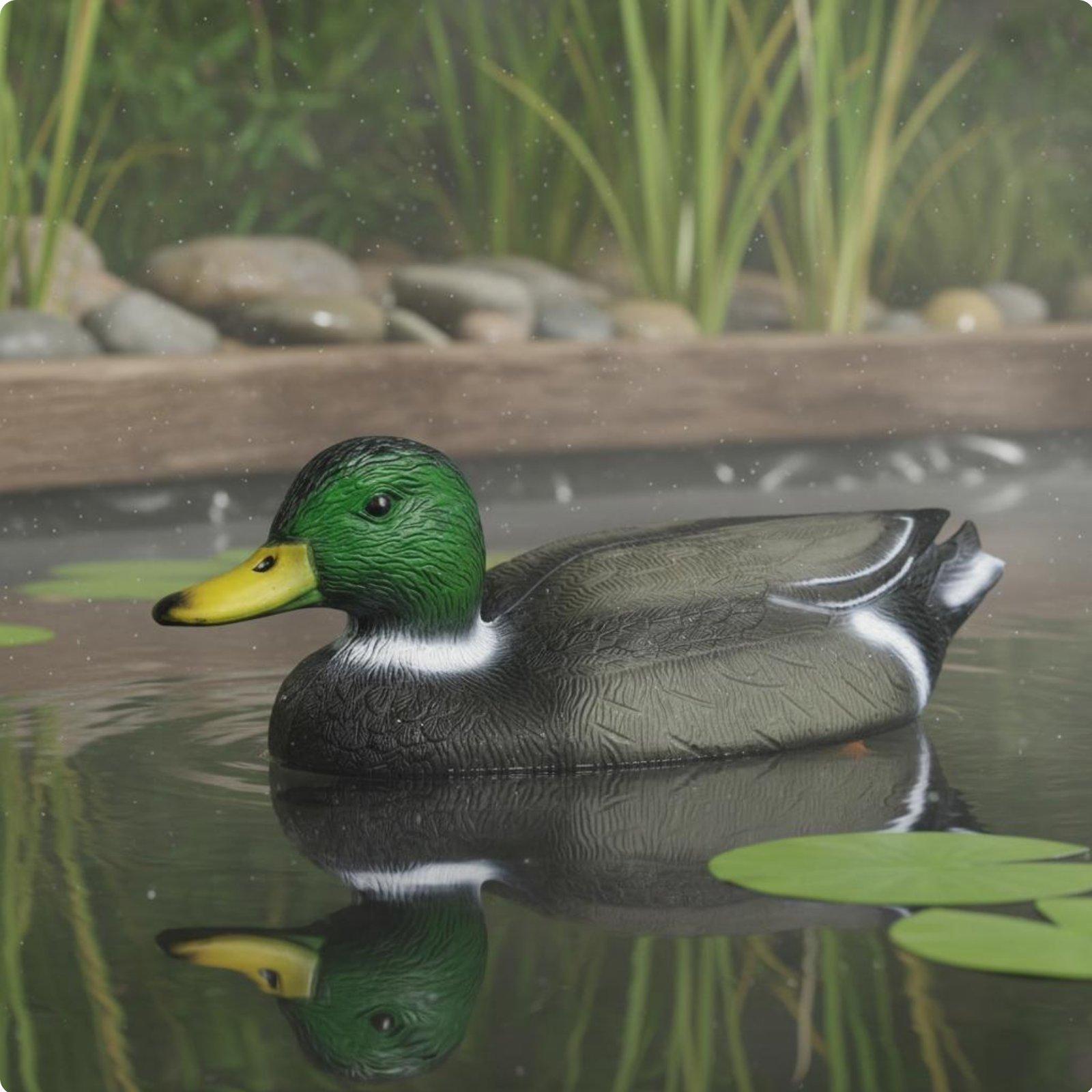 Floating Duck Decoy Realistic  - Hunting & Outdoor Supplies Vanderbijlpark Photos 评论和价格